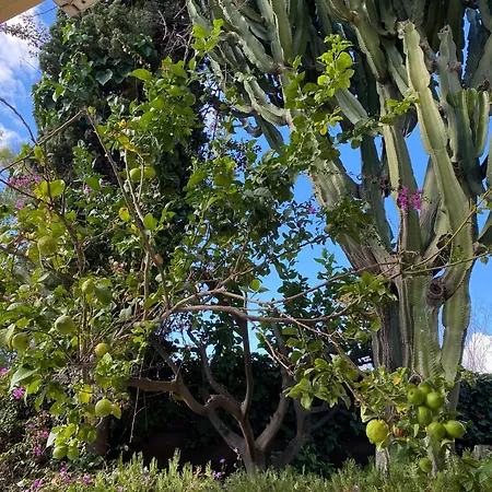 度假居 New - Mija Basement Loft Steps From - Perfect For Sun And Sport Seekers *