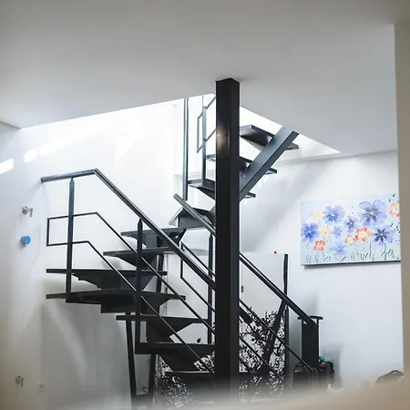 Tatil Evi New - Mija Basement Loft Steps From - Perfect For Sun And Sport Seekers