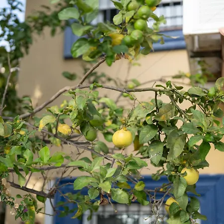 New - Mija Basement Loft Steps From - Perfect For Sun And Sport Seekers 펜션