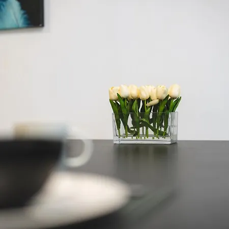 펜션 New - Mija Basement Loft Steps From - Perfect For Sun And Sport Seekers *