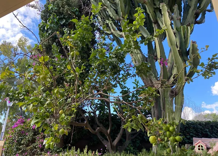 בית נופש New - Mija Basement Loft Steps From - Perfect For Sun And Sport Seekers *