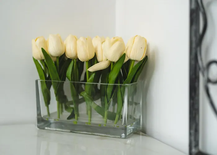 בית נופש New - Mija Basement Loft Steps From - Perfect For Sun And Sport Seekers