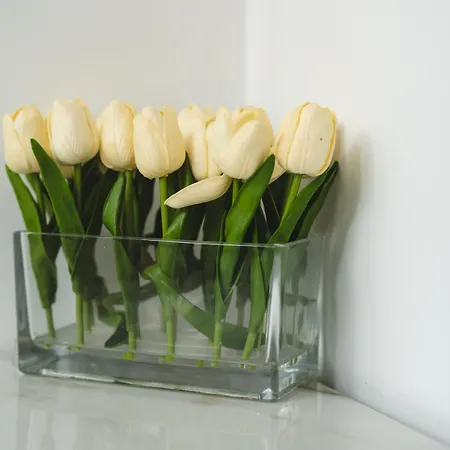 Casa de Férias New - Mija Basement Loft Steps From - Perfect For Sun And Sport Seekers