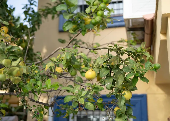 New - Mija Basement Loft Steps From - Perfect For Sun And Sport Seekers Prázdninový dům